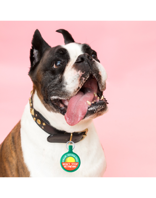 Don't Stop Retrievin' Eco Pet ID Tag